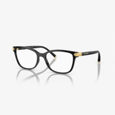 Dolce & Gabbana lunette